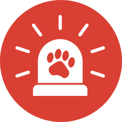 VetNow Animal Urgent Care Favicon