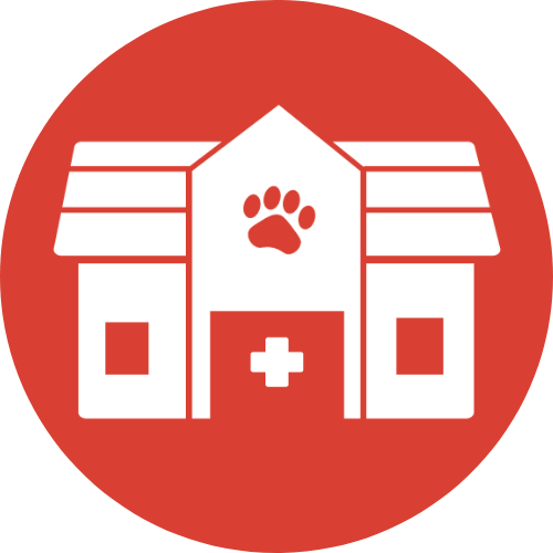 VetNow Animal Urgent Care Favicon