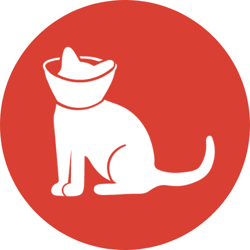 VetNow Animal Urgent Care Favicon