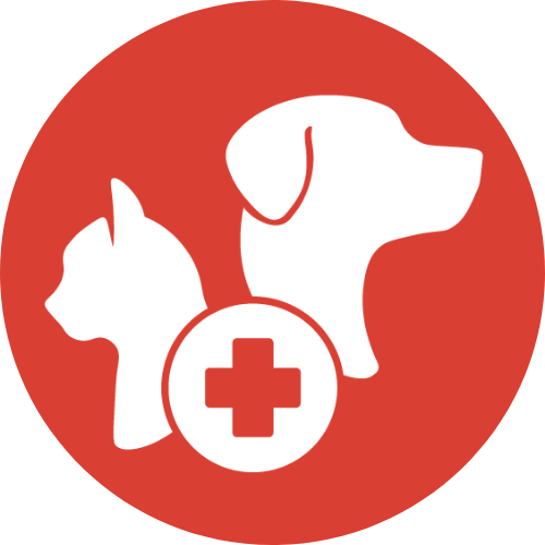 Urgent Care Icon